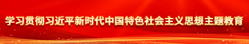 男生插女生B免费在线观看网站学习贯彻习近平新时代中国特色社会主义思想主题教育